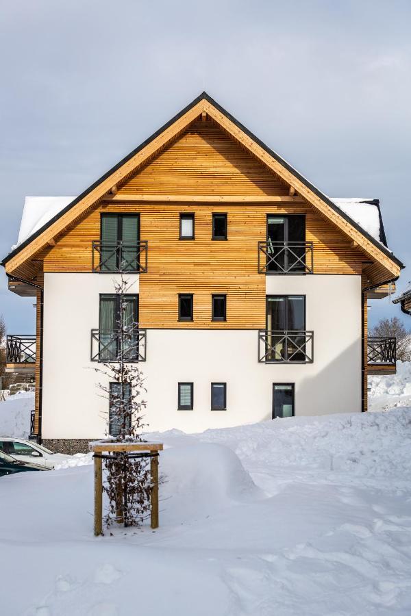 Ski Chalet Klinovec Loučná pod Klínovcem Екстериор снимка