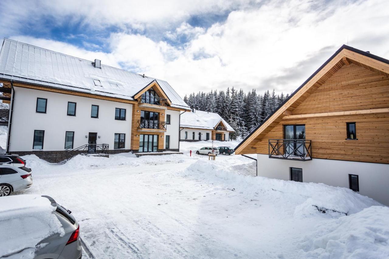 Ski Chalet Klinovec Loučná pod Klínovcem Екстериор снимка