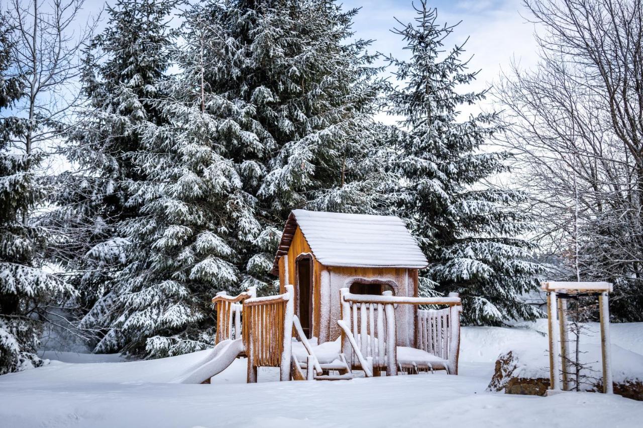 Ski Chalet Klinovec Loučná pod Klínovcem Екстериор снимка
