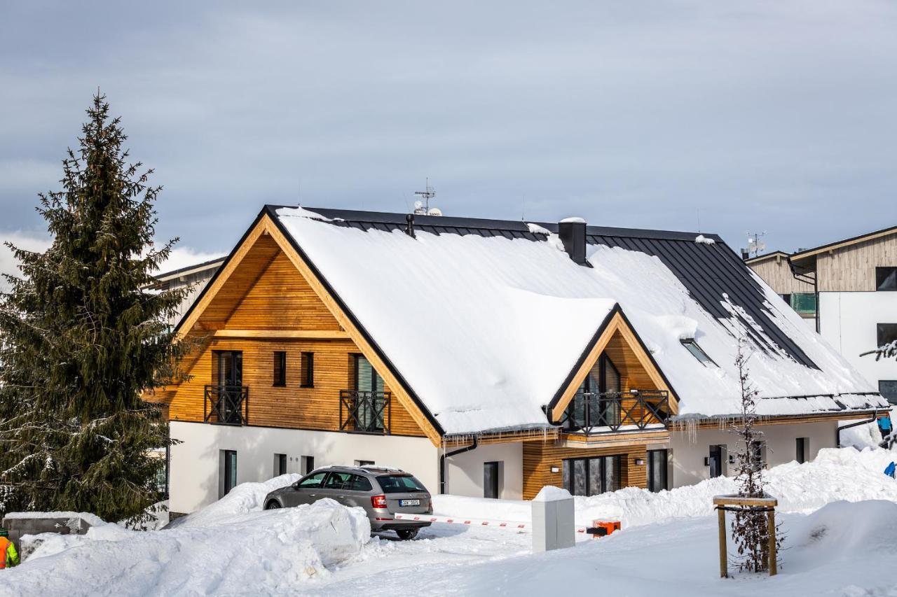 Ski Chalet Klinovec Loučná pod Klínovcem Екстериор снимка