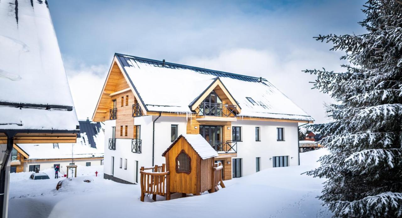 Ski Chalet Klinovec Loučná pod Klínovcem Екстериор снимка