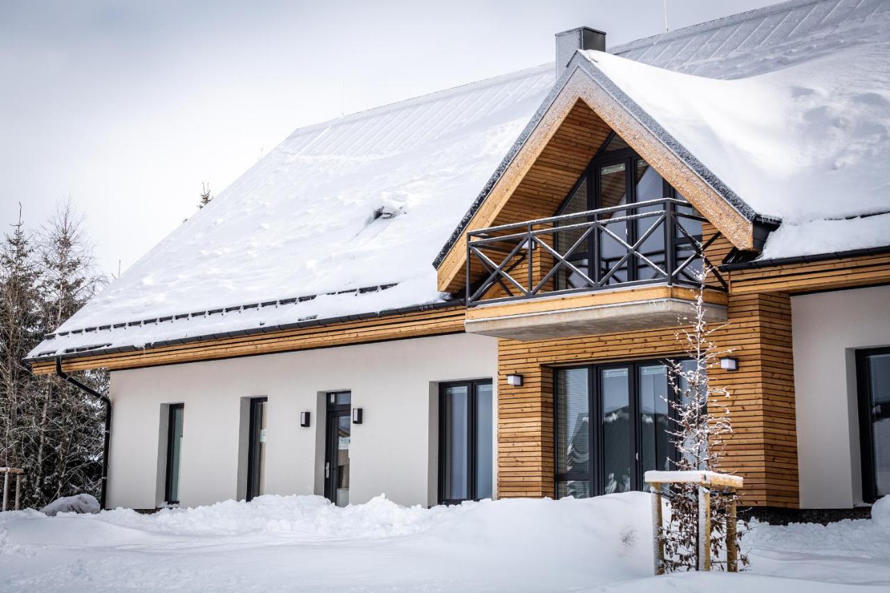Ski Chalet Klinovec Loučná pod Klínovcem Екстериор снимка