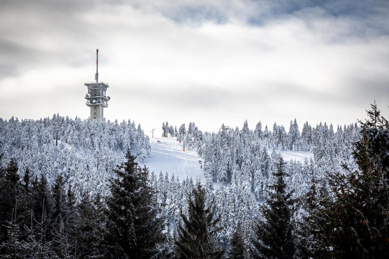 Ski Chalet Klinovec Loučná pod Klínovcem Екстериор снимка