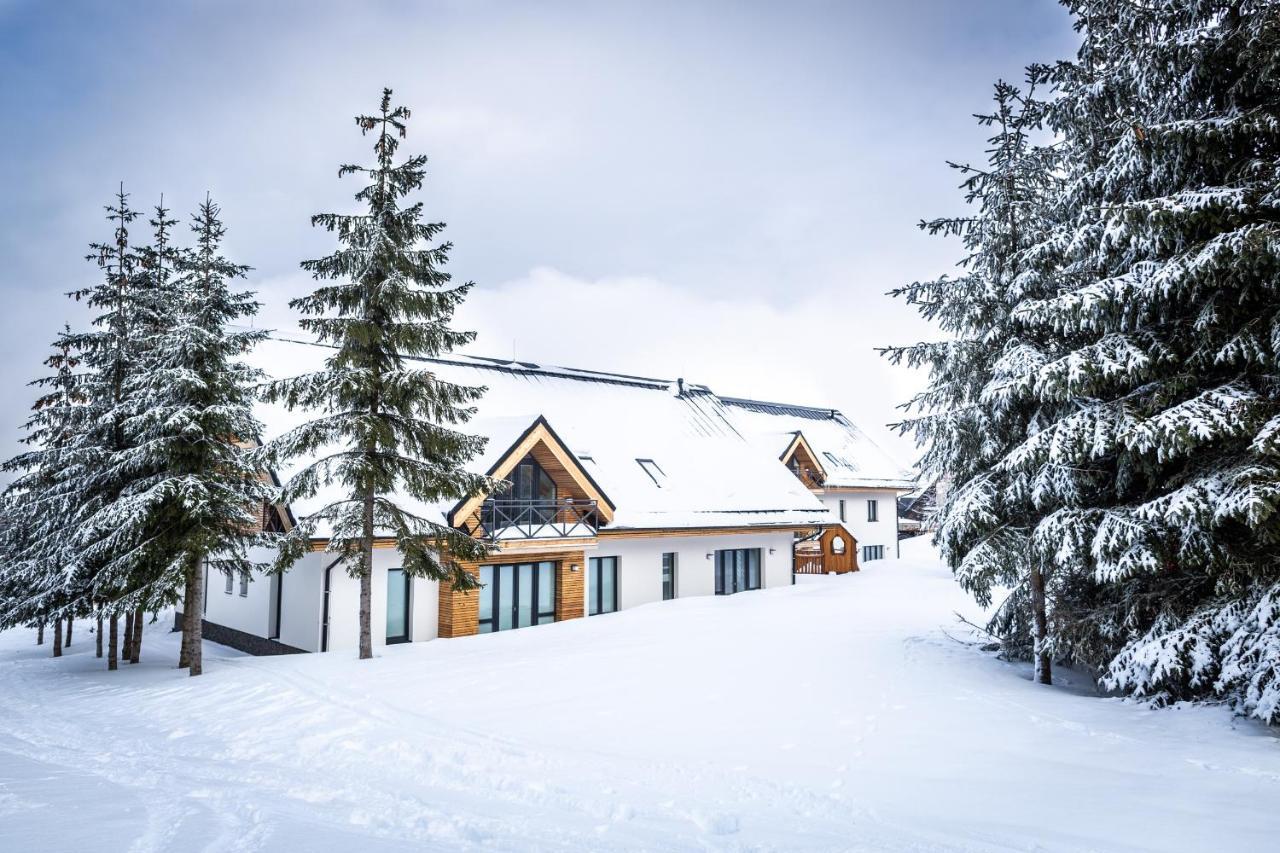 Ski Chalet Klinovec Loučná pod Klínovcem Екстериор снимка
