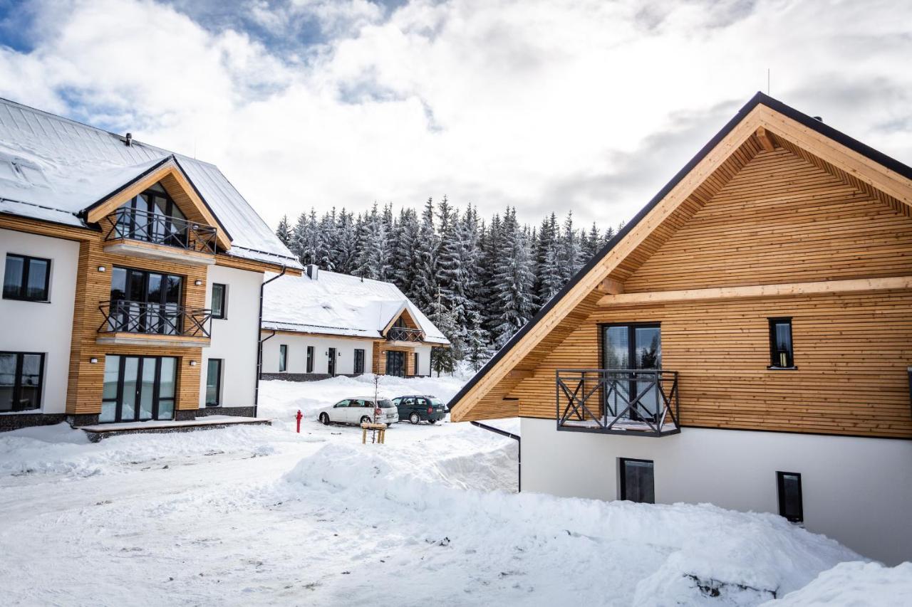 Ski Chalet Klinovec Loučná pod Klínovcem Екстериор снимка