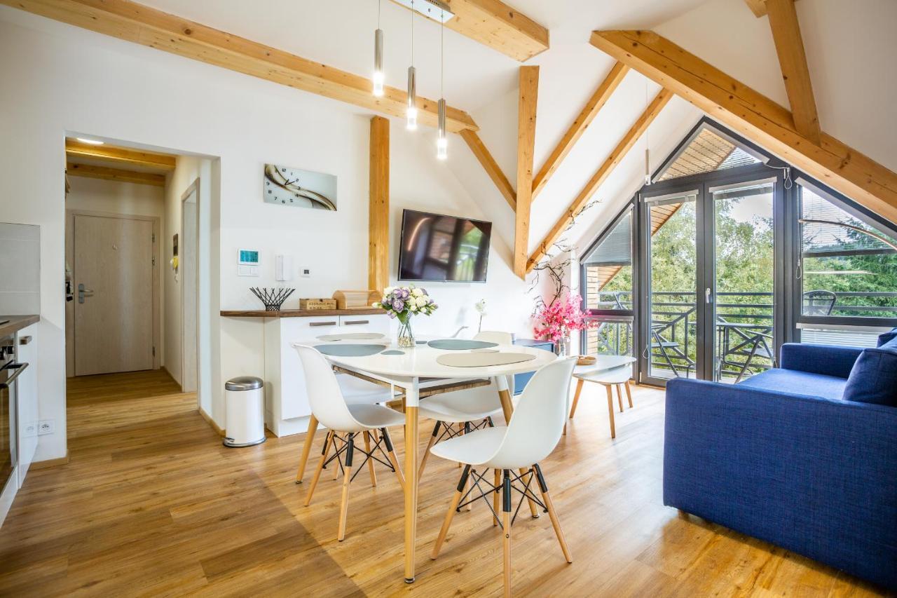 Ski Chalet Klinovec Loučná pod Klínovcem Екстериор снимка