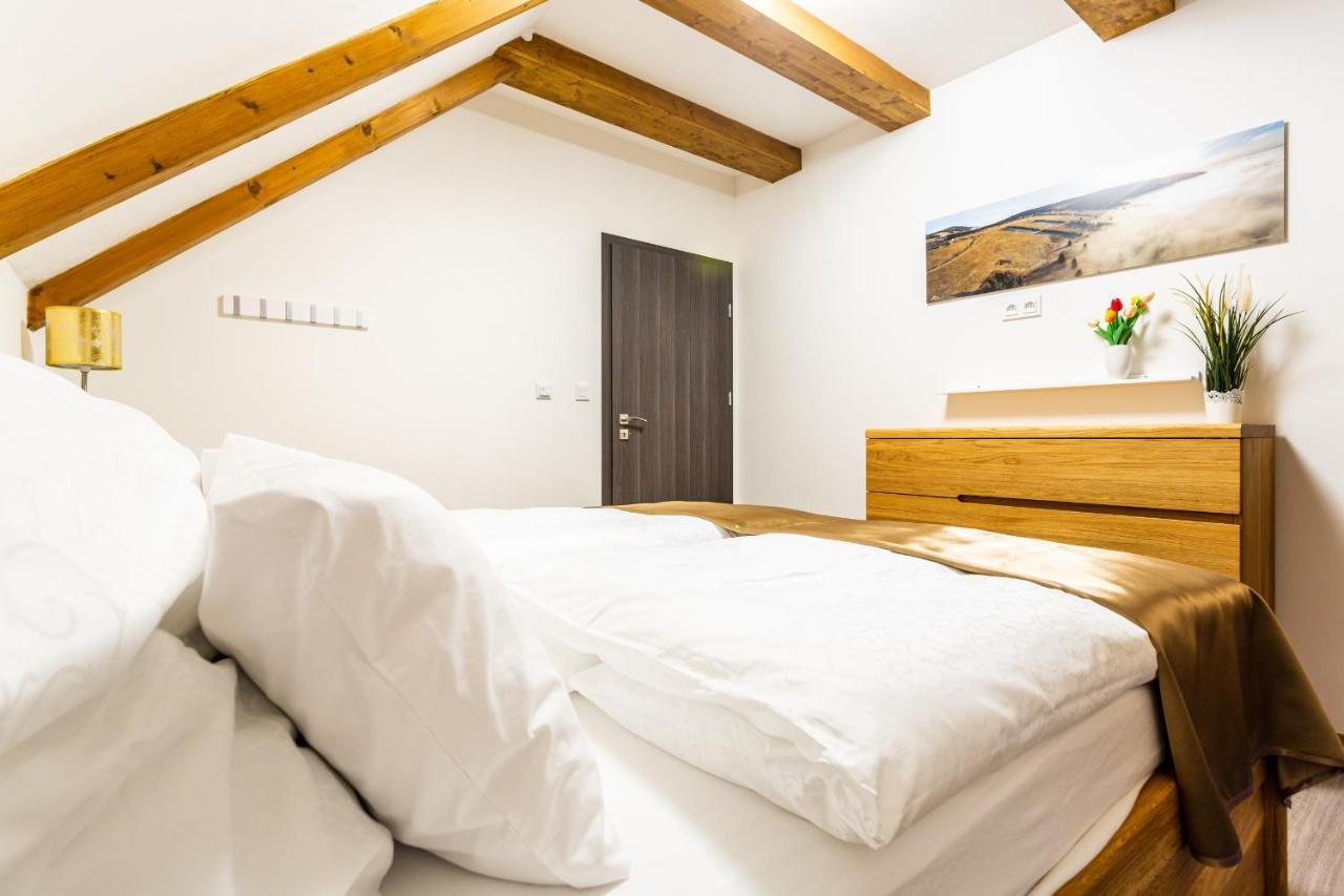 Ski Chalet Klinovec Loučná pod Klínovcem Екстериор снимка